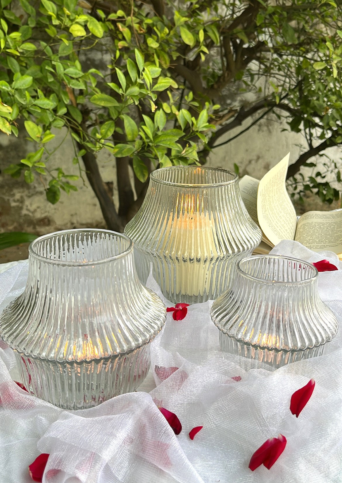 Ribbed Vase (Set of 3)